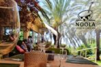 ⁦כניסה ל-4 לסדנת בישול- NOOLA סדנאות בישול⁩ – תמונה ⁦3⁩